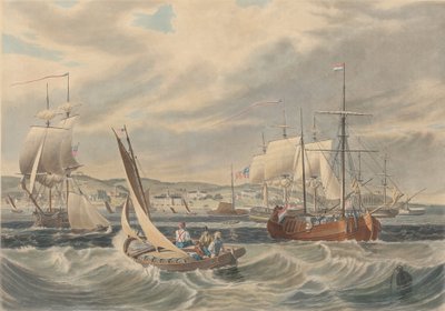View of the New York Quarantine, Staten Island by William James Bennett
