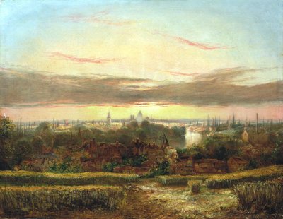 View from above Wandsworth, Westminster and St Paul