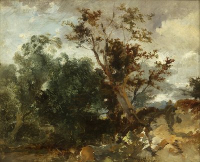 Study of Trees, c.1840 by William James Muller