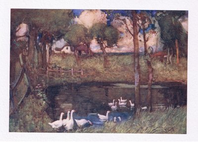The Noisy Geese that Gabbled O