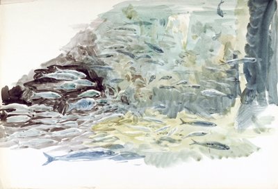 Underwater View of a Shoal of Fish by William Lionel Wyllie