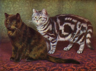 The Tortoiseshell Cat and the Tabby One by William Luker