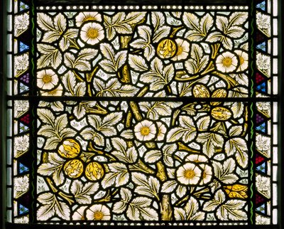 Wild Roses & Hazelnuts by William Morris