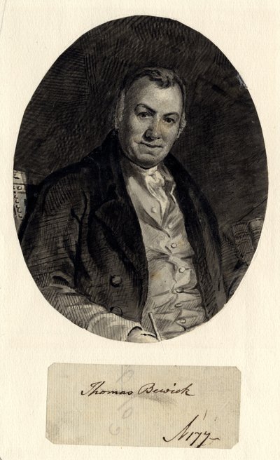 Portrait of Thomas Bewick by William Nicholson