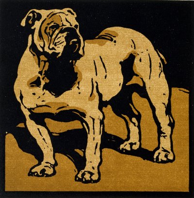 The British Bull-Dog, from 