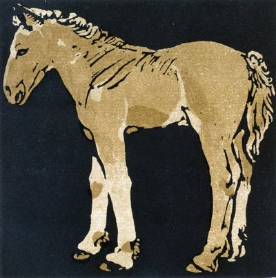 The Growing Colt, from 