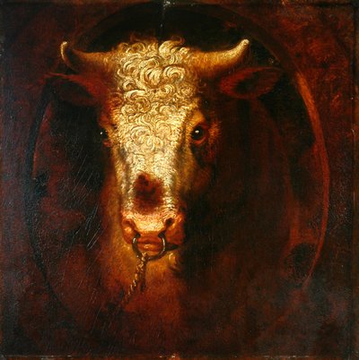 The Bull