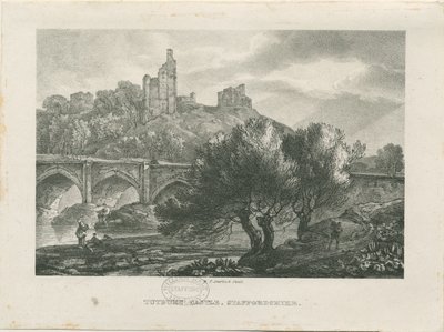 Tutbury Castle - South View by RC