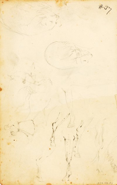 Studies--figures, log, horse and rider, etc. by William Page