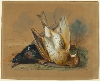 A Starling and a Lark by William Page