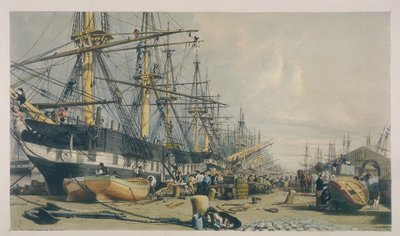 View of West India Docks from the South East by William Parrott
