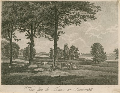 View from the Terrace of Strawberry Hill, London by William Pars