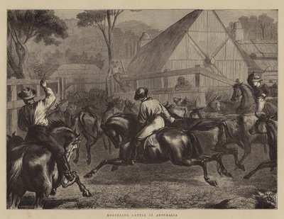 Mustering Cattle in Australia by William Ralston