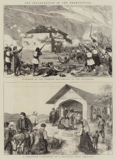 The Insurrection in Herzegovina by William Ralston