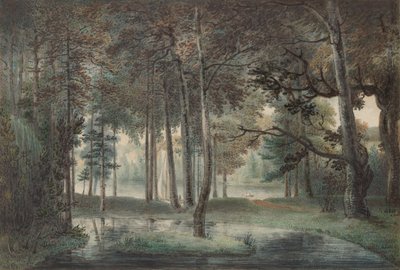 A View from the Artist