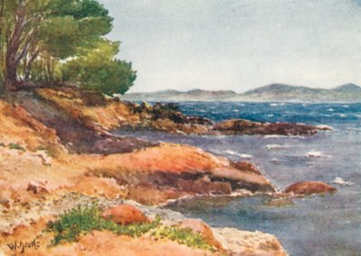 On the Shore near Carqueiranne by William Scott