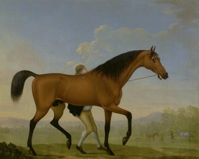 The Duke of Ancasters Bay Stallion, Blank, walking towards a Mare by William Shaw