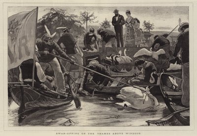 Swan-Upping on the Thames Above Windsor by William Small