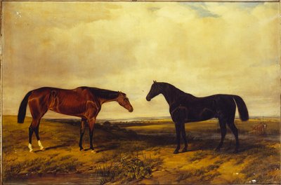 The Earl of Granard