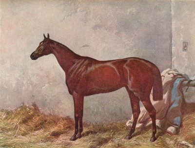 Hermit: winner of the Derby Stakes at Epsom, 1867, 1903 by William Summers