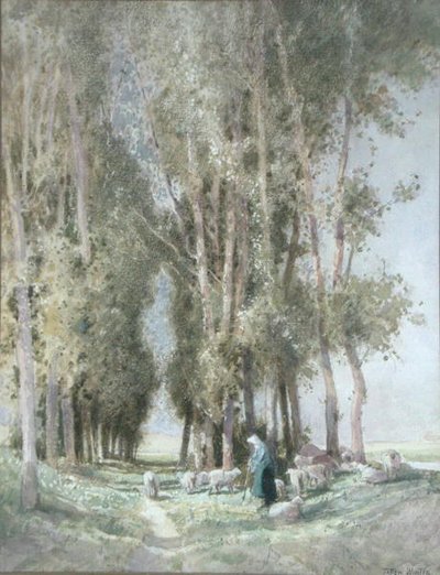 A Shepherdess and her Flock, Holland by William Tatton Winter