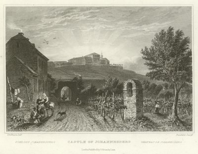 Castle of Johannesberg by William Tombleson