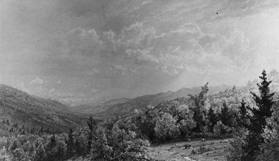 From the Flume House, Franconia, New Hampshire by William Trost Richards