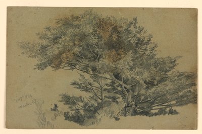 Study of Foliage by William Trost Richards