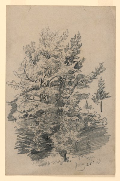 Study of Foliage by William Trost Richards