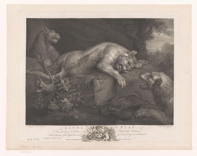 Three Lions at Play by William Walker