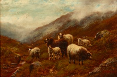 Highland Sheep On a Hillside by William Watson