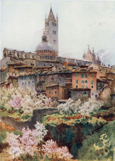 Siena. The Cathedral by William Wiehe Collins
