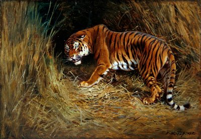 A Prowling Tiger by William Woodhouse