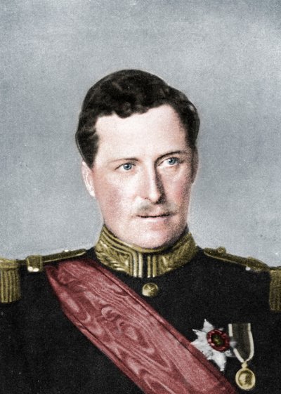 Albert, King of Belgium, First World War by William and Daniel Downey
