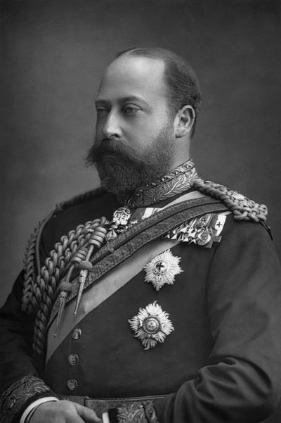 Prince Edward of Wales, the future King Edward VII of Great Britain by William and Daniel Downey