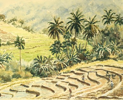 Dunhinda, Preparing the Paddy Fields by Wilson Clive
