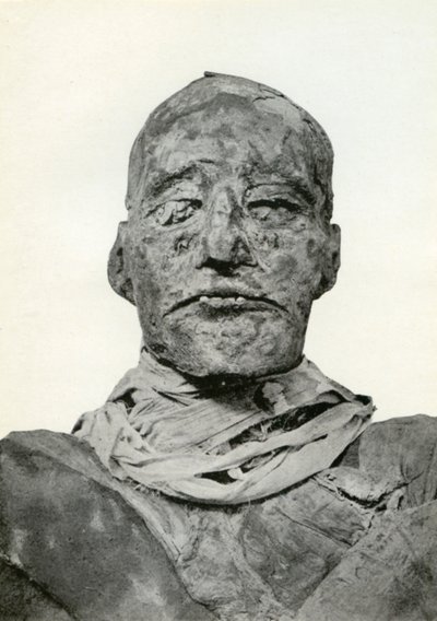 Head of the mummy of Rameses III, Ancient Egyptian pharaoh of the 20th Dynasty, c1156 BC 1926 by Winifred Mabel Brunton