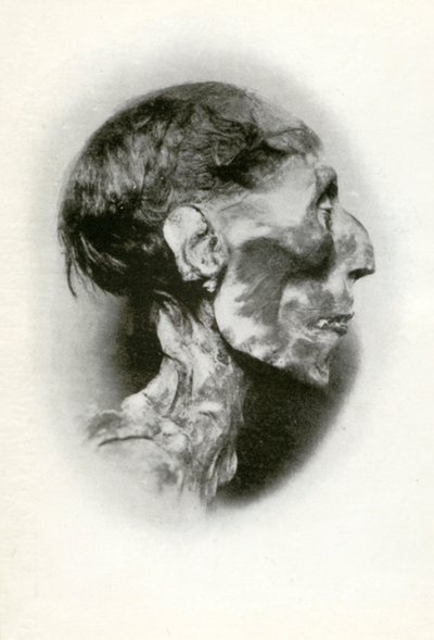 Head of the Mummy of Rameses II, Ancient Egyptian Pharaoh of the 19th Dynasty, c. 1212 BC, 1926 by Winifred Mabel Brunton