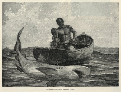 A Peddler, A Nassau Gateway, Shark-Fishing--Nassau Bar, from The Century Magazine, February 1887 by Winslow Homer