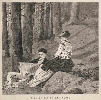 A Quiet Day in the Woods by Winslow Homer