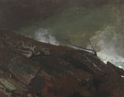 Coast of Maine by Winslow Homer