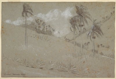 Cuban Hillside, 1885 by Winslow Homer