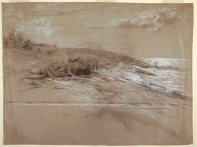 Seacoast with Scrub Pines, Prout