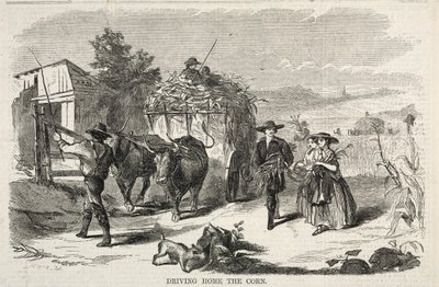 Driving Home the Corn by Winslow Homer