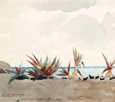 Nassau Beach with Century Plants by Winslow Homer