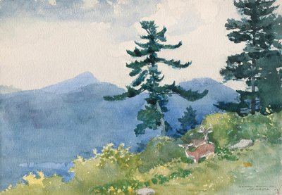 North Woods Club, Adirondacks (The Interrupted Tete-a-Tete) by Winslow Homer