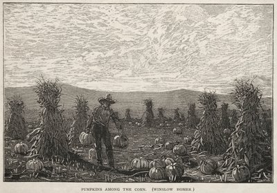 Pumpkins Among the Corn by Winslow Homer