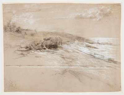 Seacoast with Scrub Pines, Prout