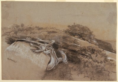Study of Tree Roots, Prout