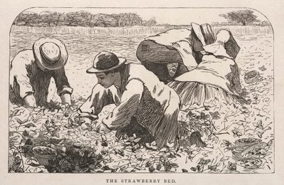 The Strawberry Bed by Winslow Homer